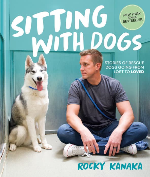 Sitting with Dogs