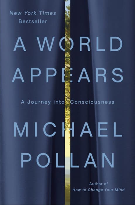 A World Appears